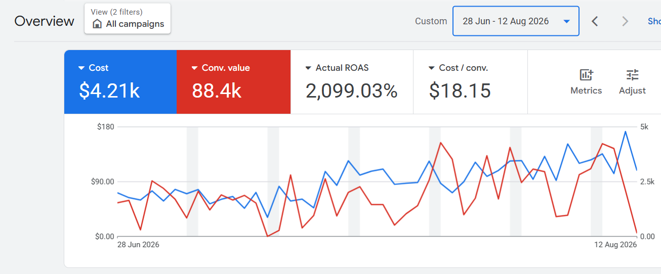 Google Ads overview showing Cooly Eco Adventures, 4,209.97 dollars cost, 88,368.56 dollars conversion value, 2,099.03 percent actual ROAS, 28 June to 12 August 2026