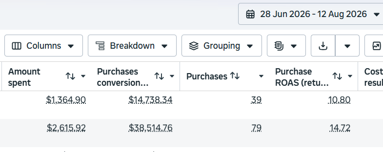 Meta Ads Manager showing Cooly Eco Adventures campaigns, 3,980.82 dollars spent and 53,253.10 dollars in purchase value across 118 purchases, 28 June to 12 August 2026